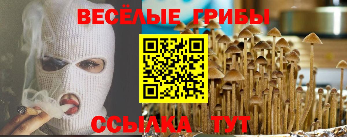 Псилоцибиновые грибы GOLDEN TEACHER Ялуторовск