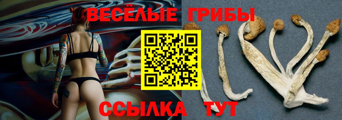 Псилоцибиновые грибы MAGIC MUSHROOMS  Вход с VPN  Ялуторовск  Галлюциногенные грибы Psilocybine cubensis 